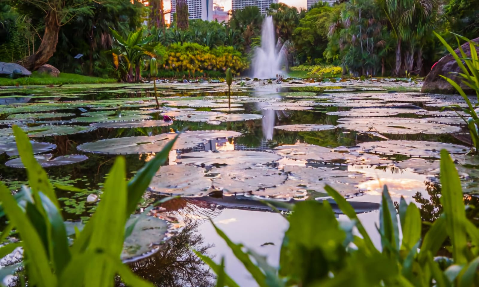Singapore Classification of Environmental Purposes